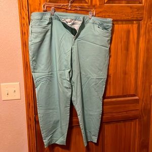 High Waisted Skinny Pant Size 24